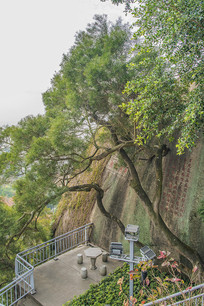 �������չ������¾���ɽ��