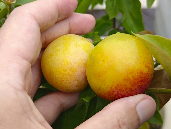 ����������