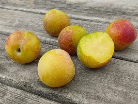 �ʹ�������