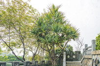 �������չ������ڵ���Ѫ��