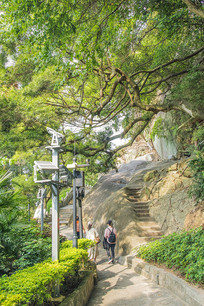 �չ����ͱ��Ե�ʯ̨��·��ľ