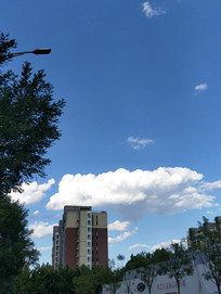 �������¥������