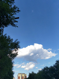 ���������Ҷ¥��