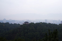 �������ĹŽ���