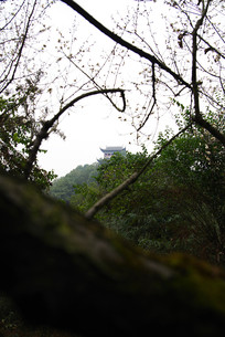 �Ž���һ�� 