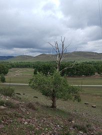 ��ɽ����