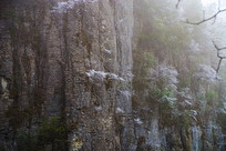 �ͱ��ϵ�ֲ��