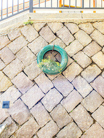 ʯǽ�ϵ���̥����