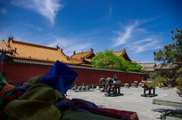 ���ͺ���������