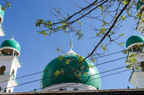 ������Բ��