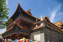 Ժֲ