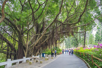 ����԰��ֲ��԰����·������