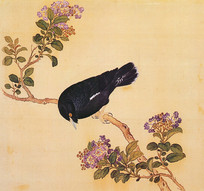 �����ʡ������