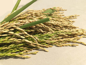 ���յ�������