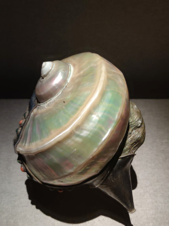 �����ݺ����