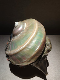 �����ݺ����