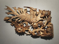 ����ľ��ﴩĵ������