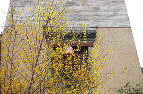 ʢ����÷��