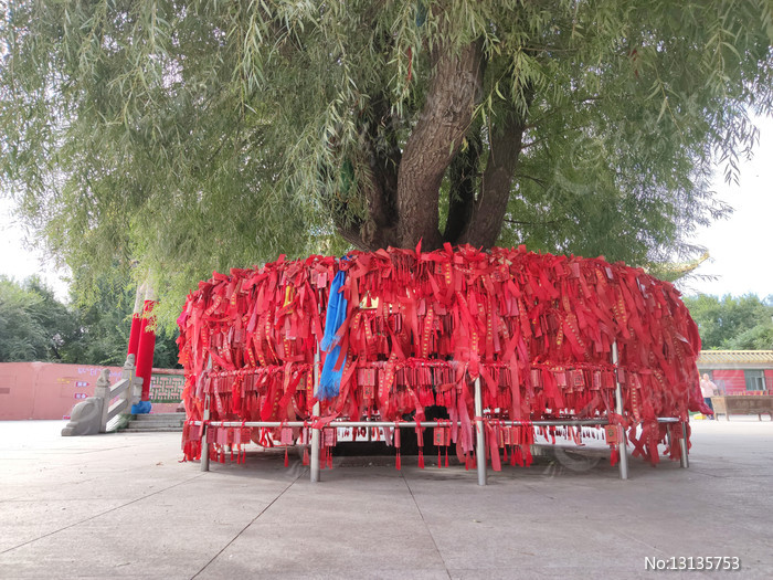 许愿树藏族寺庙图片