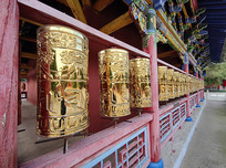 ת���ֲ�������