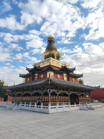 ת���ַ���������