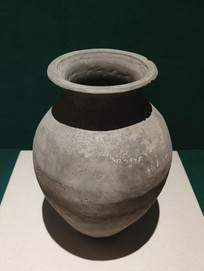 ս�����չ�