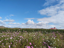 ����ũ��ׯ�ڵ�