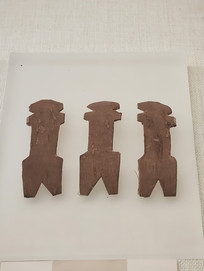 ���������ż