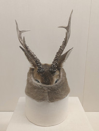 �����ͷñ��