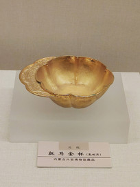 Ԫ�������T1