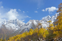 ���ӱ��﹵�������Ѳ��ֺ�ѩɽ 