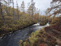 ����ɽԭʼɭ��Ϫ��