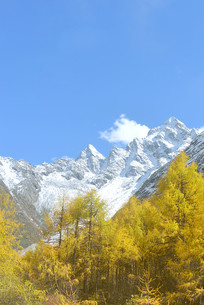 ���﹵���������������ѩɽ 