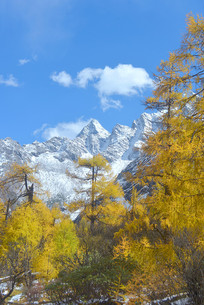 �������﹵�������Ѳ��ֺ�ѩɽ 