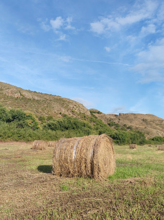 ���ױ�����ԭ�ݶ�