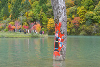 ���Ÿ��� Ȧ�µϺͶ��������