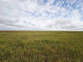 ���ױ�����ݲ�ԭ