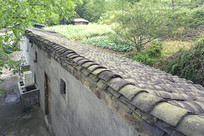 ���Źع�����ש�߷����