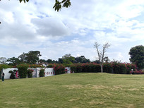 ����ɽ��԰��ɫ