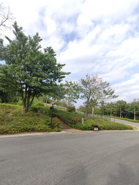 ����ɽ��԰��ɫ