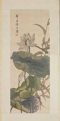 ��_��޹_����ͼ