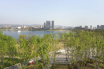 �������Ľ���