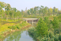 �Ĵ��ɶ�����������������