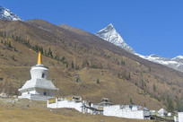 �Ĵ��Ĺ���ɽѩɽ�µĲ������