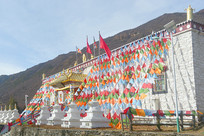 �����Ĺ���ɽ��ƺ��˹������