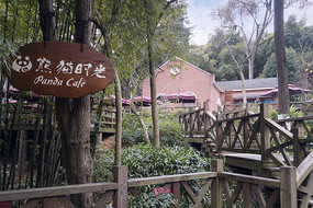 成都大熊猫繁育研究基地  咖啡屋