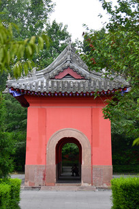 ս�������