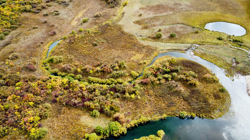 �������ʪ�ظ���