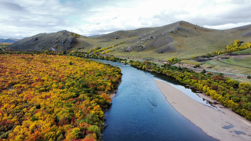 ���Ķ�����ɺ�