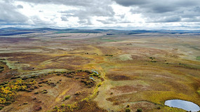 ���Ķ������ʪ��